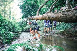 BIB: 
                            <button type="button" onclick="openModal(25443340)" class="btn btn-primary btn-sm float-right btn-popup" data-toggle="modal" data-target=".modal-high-quality">
                        <i class="fas fa-shopping-cart"></i> Add to Cart
                    </button>
                                            <button type="button" onclick="isThisMe(25443340, true)" class="btn btn-success btn-sm float-right btn-popup btn-isme hidden" data-toggle="tooltip" data-placement="bottom" title="นี่คือรูปของคุณใช่ไหม คลิกที่นี่เพื่อเอาเข้าอัลบั้ม">
                        <i class="fas fa-plus"></i> Add to album
                    </button>
                    <button type="button" onclick="isThisMe(25443340, false)" class="btn btn-warning btn-sm float-right btn-popup btn-isnotme hidden">
                        <i class="fas fa-ban"></i> Remove from album
                    </button>